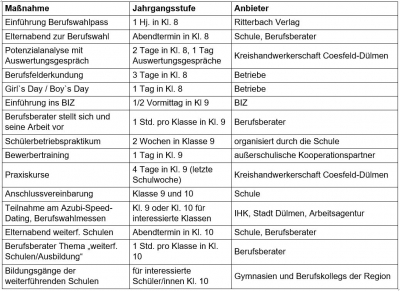 Tabelle Maßnahmen Berufswahl