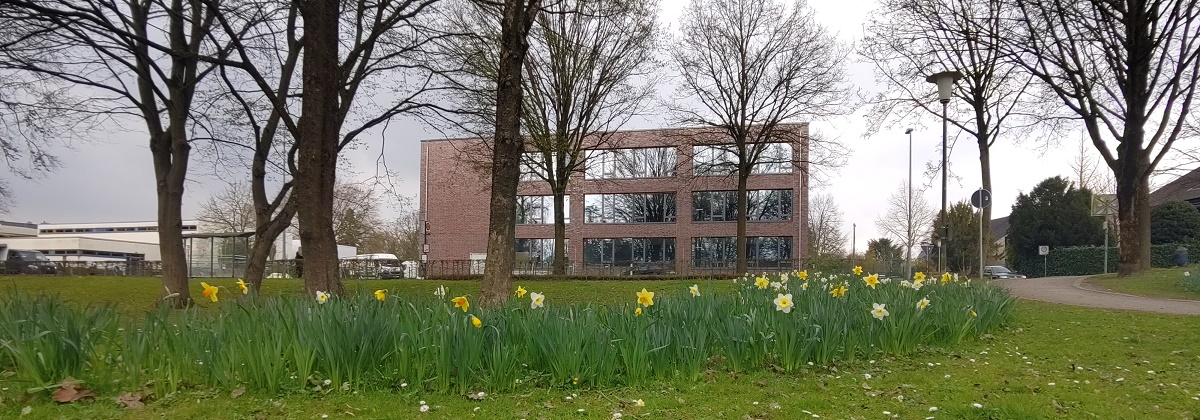 Frühling2.jpg